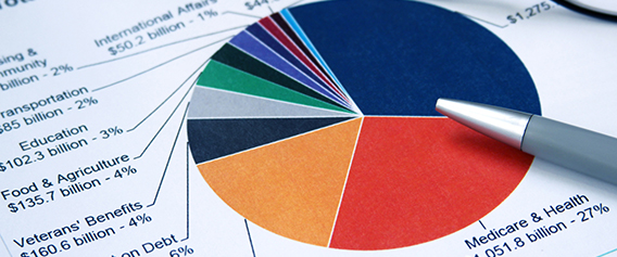 What Your Taxes Actually Pay For